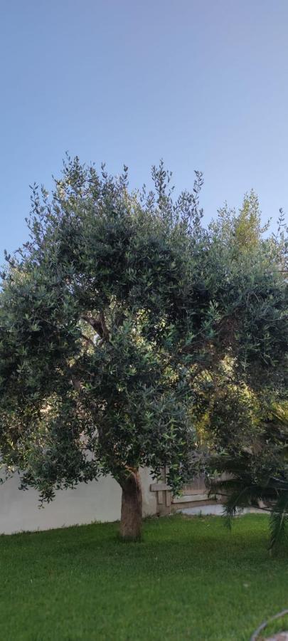 Bed and Breakfast La Bella Dimora Otranto Zewnętrze zdjęcie